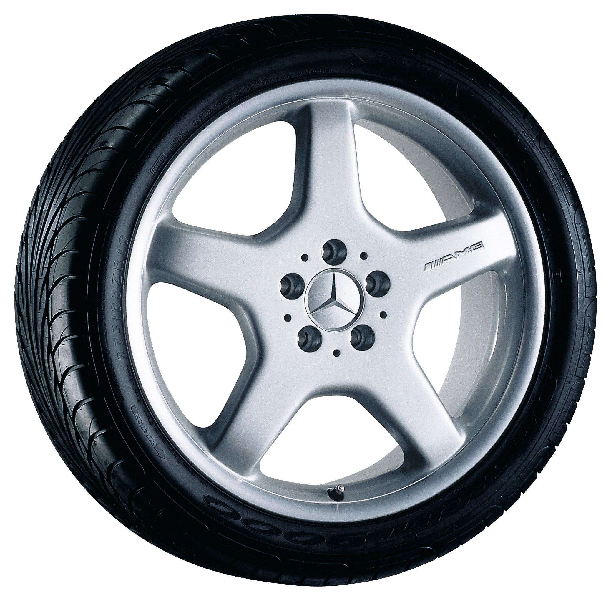 AMG 5-Speichen-Rad, 48,3 cm (19 Zoll)