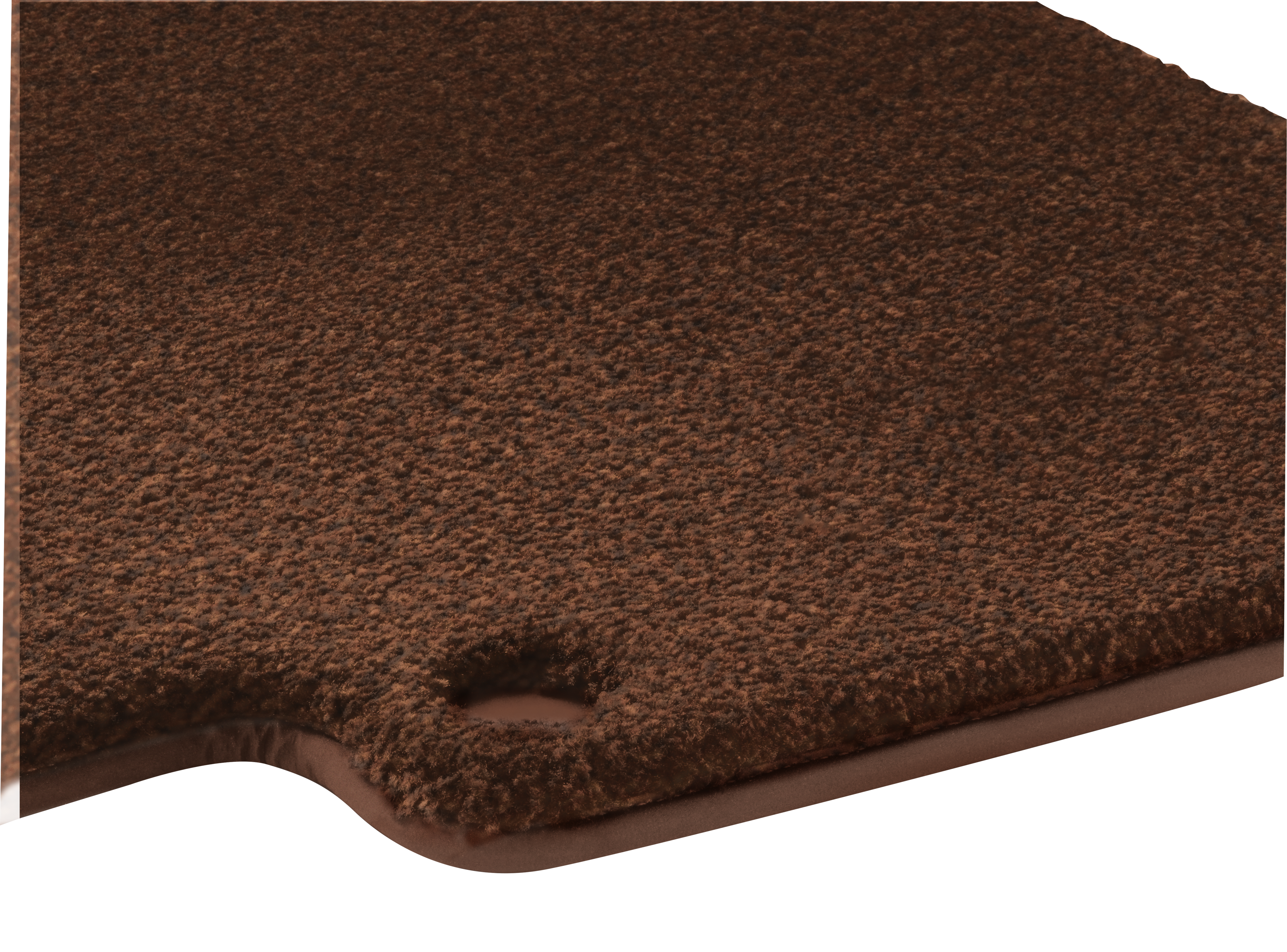 beech brown