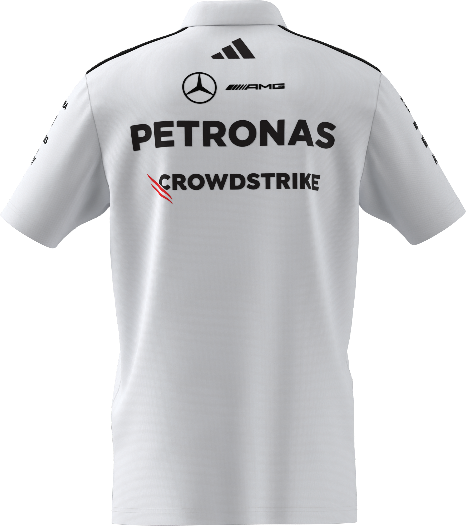 Polo da uomo, Team, Mercedes-AMG F1 - Colore bianco, L